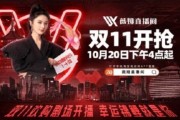 双十一战绩2020(李佳琦与薇娅的战绩如何)